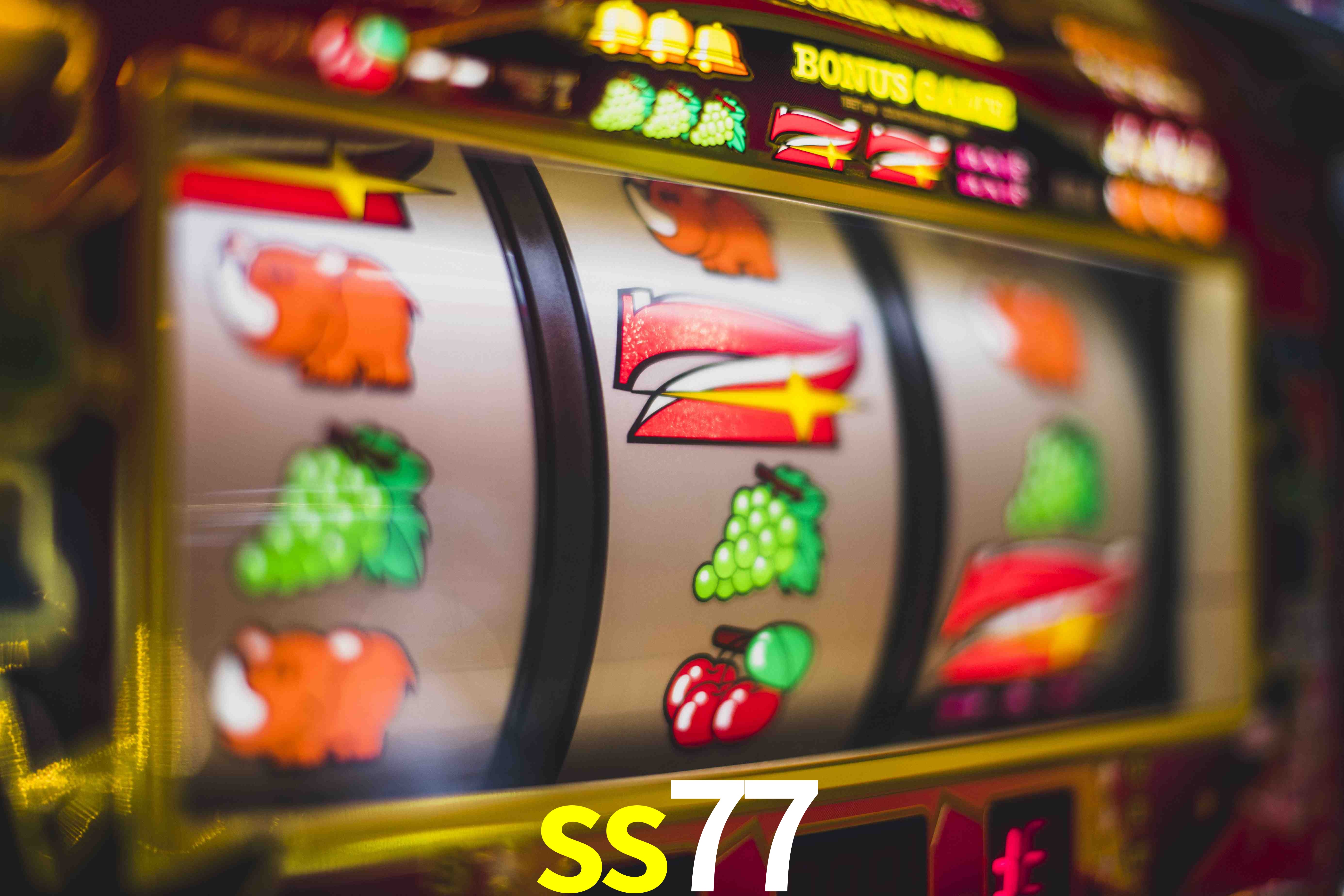 Tennis Betting ss77